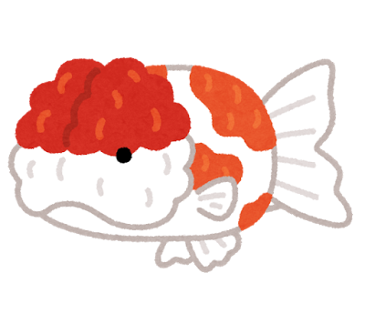 fish_kingyo_sakuranishiki